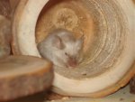 DSC01827.jpg