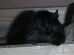 Kopie von PICT0460.jpg