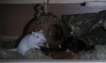 Kopie von PICT0457.jpg