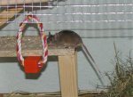 IMG_0006.jpg