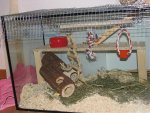 IMG_0005.jpg