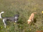 DSC00005.JPG