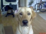 DSC00002.JPG