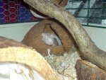 DSC00076.jpg