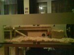 DSC00457.jpg