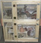 Kopie von neue mäusis 062.jpg