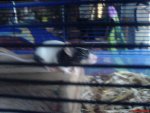 DSC00596.jpg