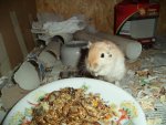 DSC00799.jpg
