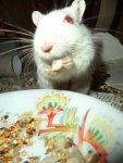 DSC00805.jpg