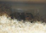 DSC01346.jpg