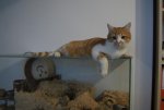 DSC01357.jpg