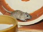 DSC01368.jpg