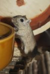 DSC01377.jpg