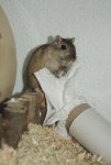 DSC01381.jpg