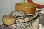 DSC01393.jpg