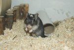 DSC01409.jpg