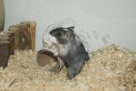 DSC01416.jpg