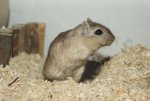 DSC01430.jpg