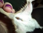 DSC00816.jpg