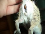 DSC00818.jpg