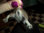 DSC00820.jpg