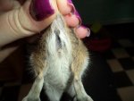 DSC00826.jpg