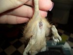 DSC00829.jpg