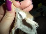 DSC00838.jpg