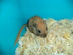 DSC00847.jpg