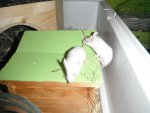 DSCF2464.jpg