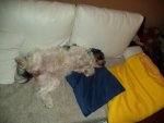 DSC00981.jpg