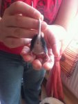 IMG-20140110-WA0001.jpg