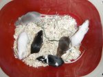 1-14-bunteGruppe.jpg