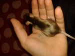 20140113_184509.jpg