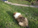 DSC00415.jpg