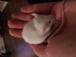 20131126_175932.jpg