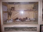 20140222_102043.jpg