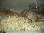 DSC01433.jpg