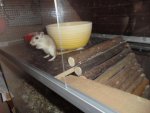 DSC00053.jpg