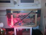 IMG-20140312-WA0002.jpg
