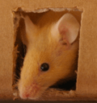 2014-03-13 09.12.05 Zlata.png