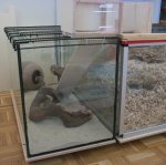 SAM_1329nogliimsand-1.jpg