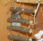 P7140439 - Kopie.jpg