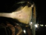 20140503_200646.jpg
