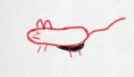 minou.jpg