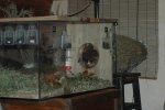 DSC_8321.jpg