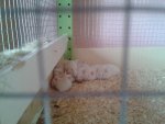 20140526_155856.jpg