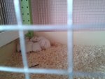 20140526_140135.jpg