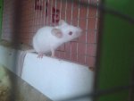 20140527_103834.jpg