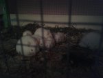 20140527_211927.jpg